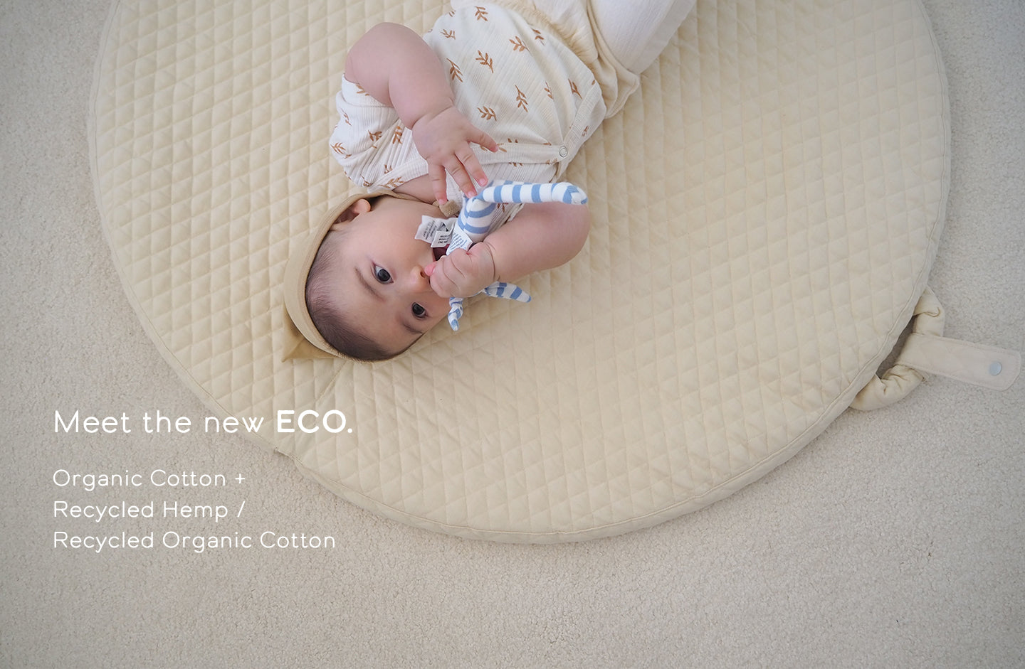 Meet the ECO